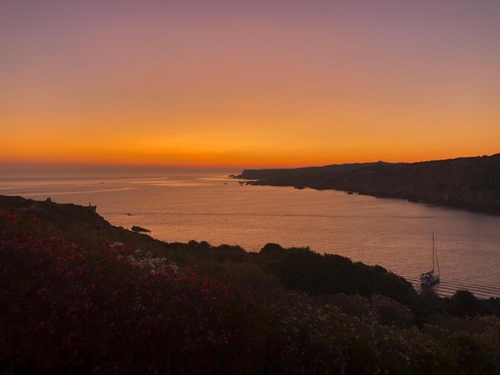 B&B Jolie Santa Teresa Gallura Extérieur photo